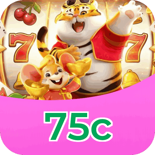 Métodos de pagamento aceitos na 75c